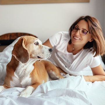 Are pets allowed at the Comfort Hotel Bayer's Lake?